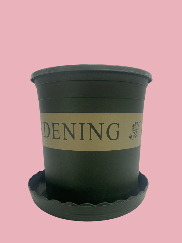 Maceteros Gardening con PlatoVerde: 20x20 CM1