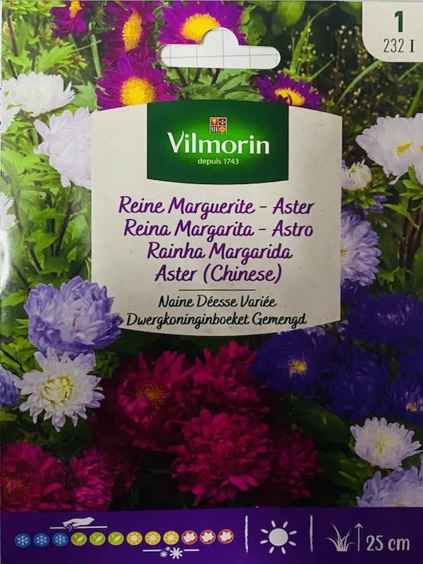 REINA LUISA. ENANA (232)1