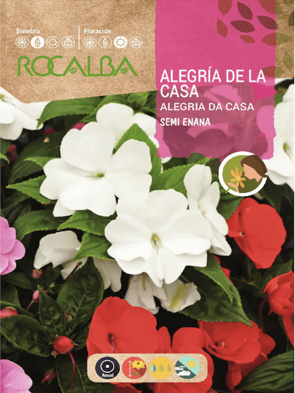 ALEGRÍA DE LA CASA Semi Enana Variada1