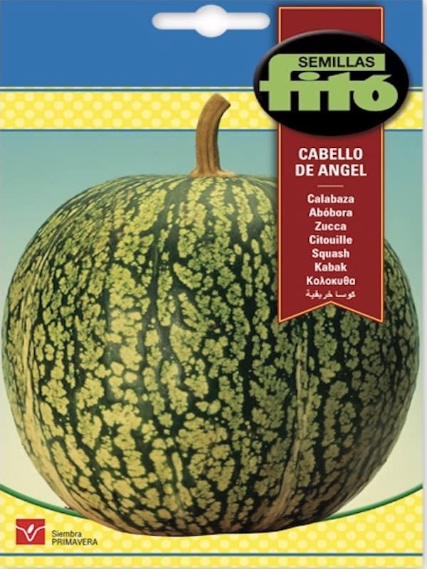 ALCAYOTA CABELLO DE ANGEL (ALCAYOTA)1