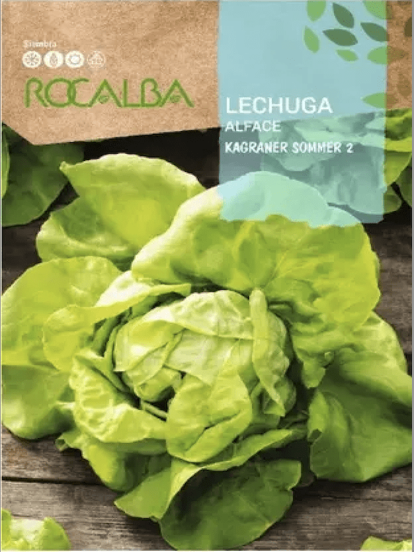 LECHUGA Alface. 6 Gramos.1