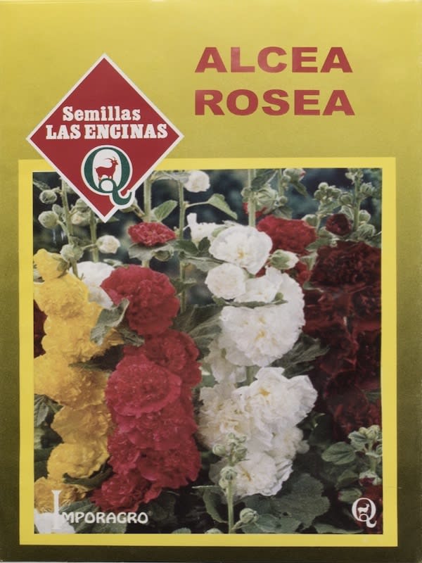 MALVA  Real. Alcea Rosea.1