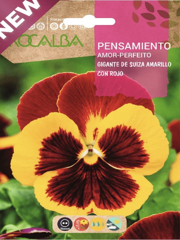 PENSAMIENTO Gigante de Suiza Amarillo con Rojo1