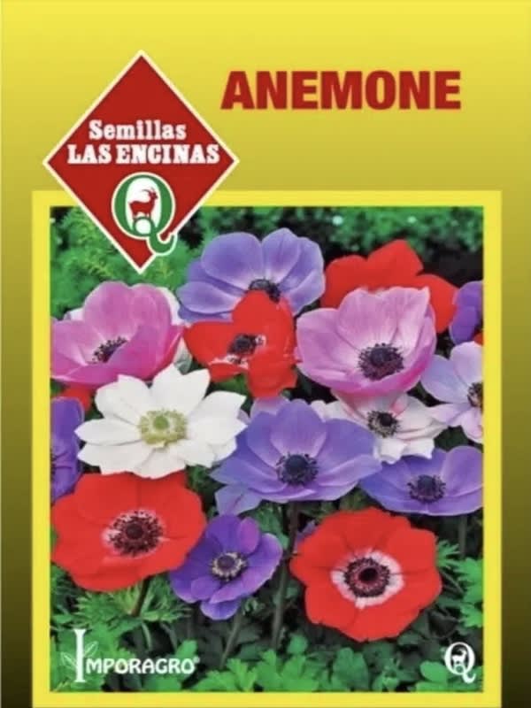 Anémona  Semillas Colores Variados1