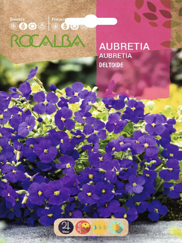 AUBRIETIA  Púrpura  Violeta1