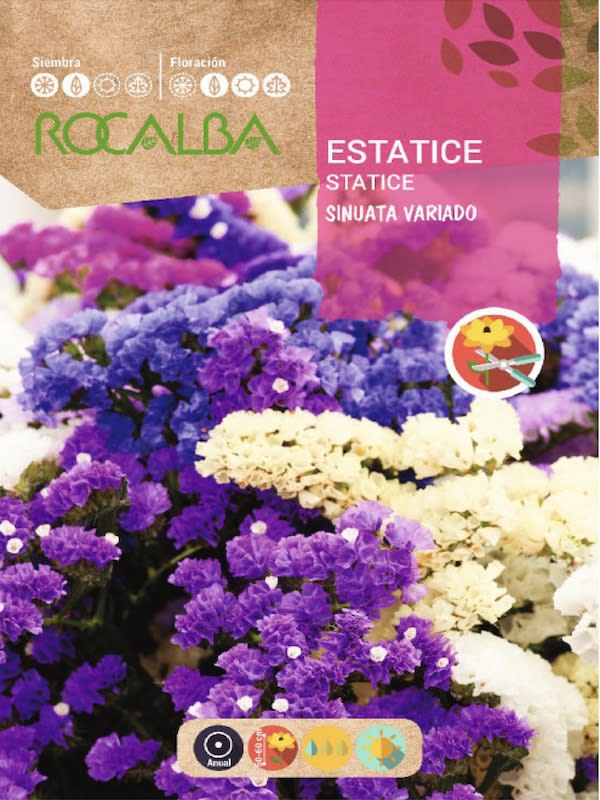 ESTATICE Sinuata Color: Azul1