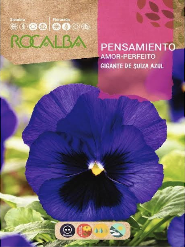 PENSAMIENTO Gigante de Suiza Azul1