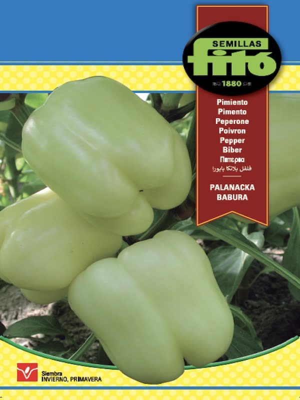 PIMIENTO Cuadrado Dulce 1 Gramo.1