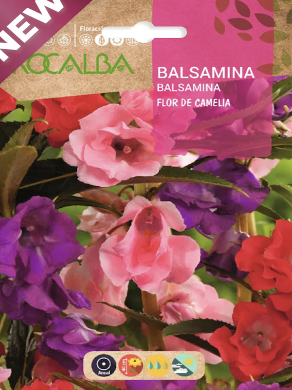 Balsamina Flor de Camelia1