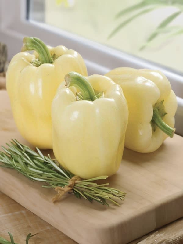 PIMIENTO Cuadrado Dulce 1 Gramo.2
