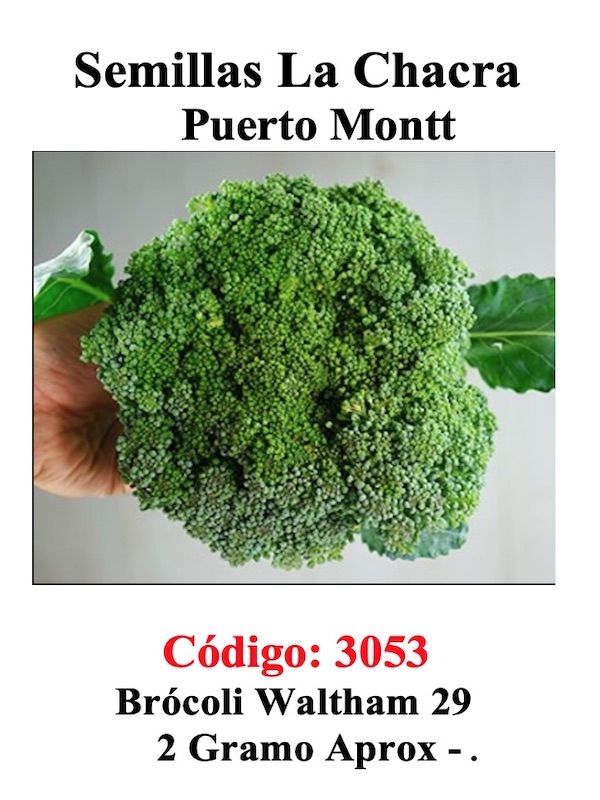 Broccoli Whaltham. 2 Gramos1