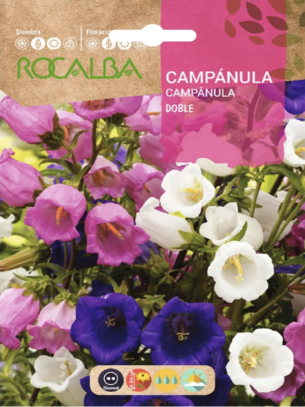 CAMPANULA  Doble Colores Variados1