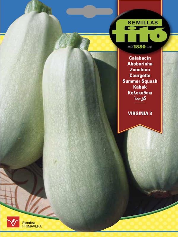 CALABACIN DE MESA VIRGINIA 31