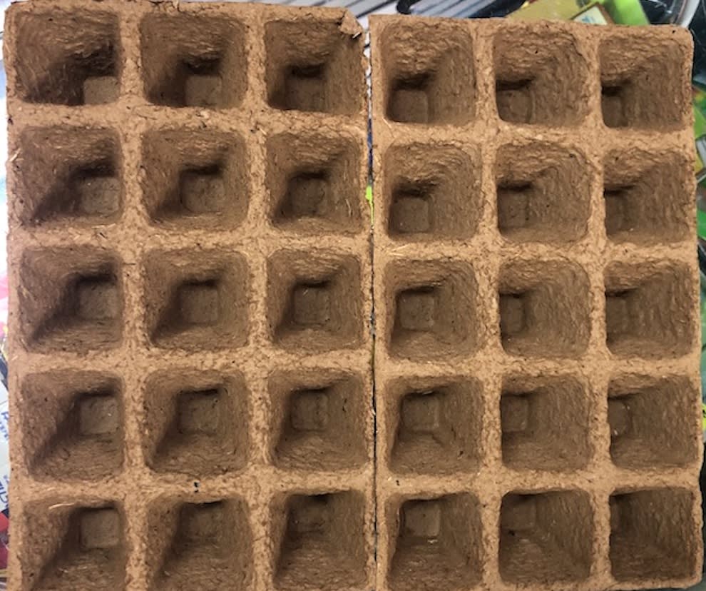 Almaciguera Biodegradable  Pack 2 Bandejas 15 CV.2