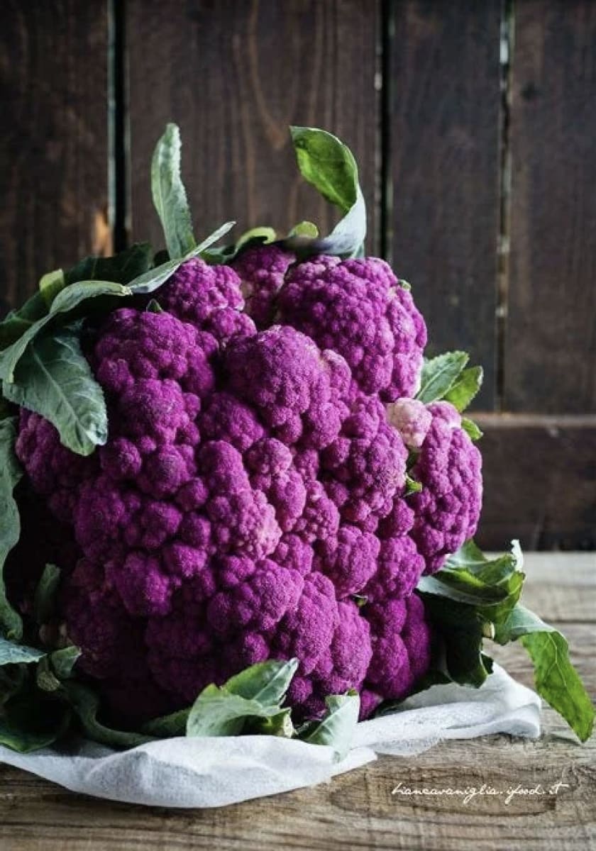 Coliflor  Catanese, Semillas2