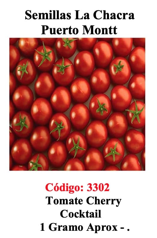 TOMATE CHERRY REDONDO 1 Gramo1