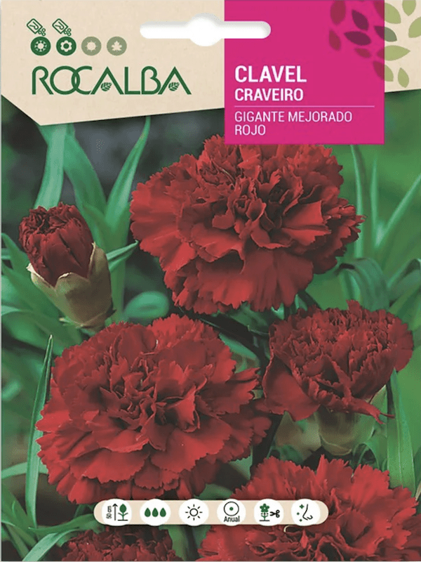 CLAVEL GIGANTE Mejorado Rojo1