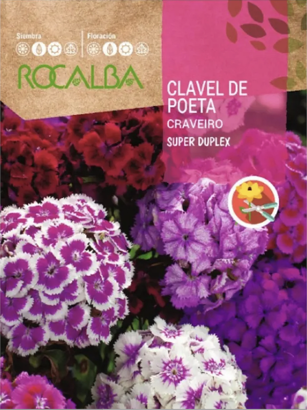 Clavel Del Poeta Súper Dúplex Variado.1