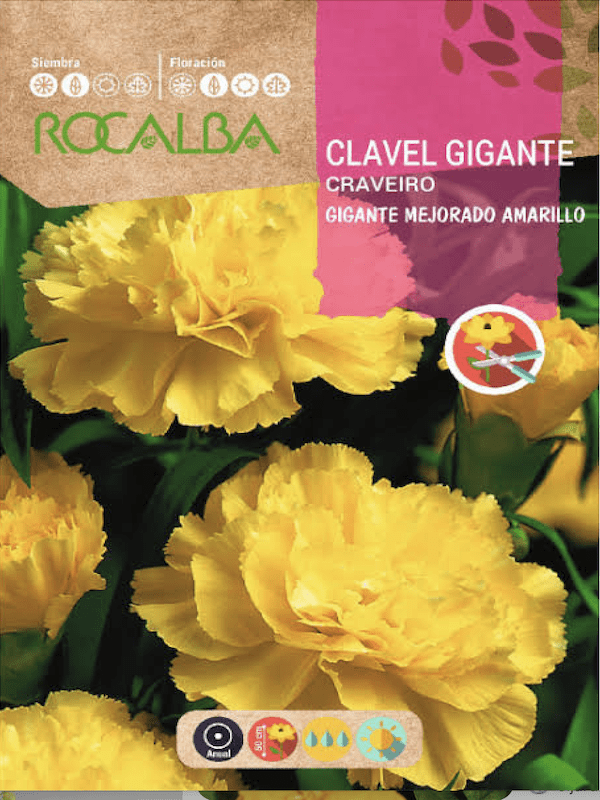 CLAVEL GIGANTE Mejorado Amarillo1