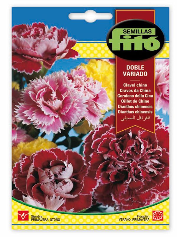 CLAVEL CHINO DOBLE VARIADO1