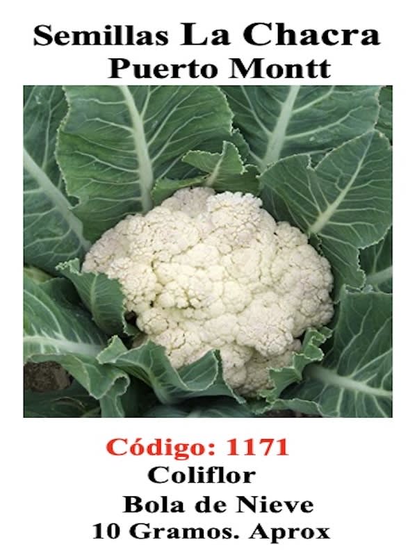 Coliflor Cuatro Estaciones. Sobre 10 Gramos1