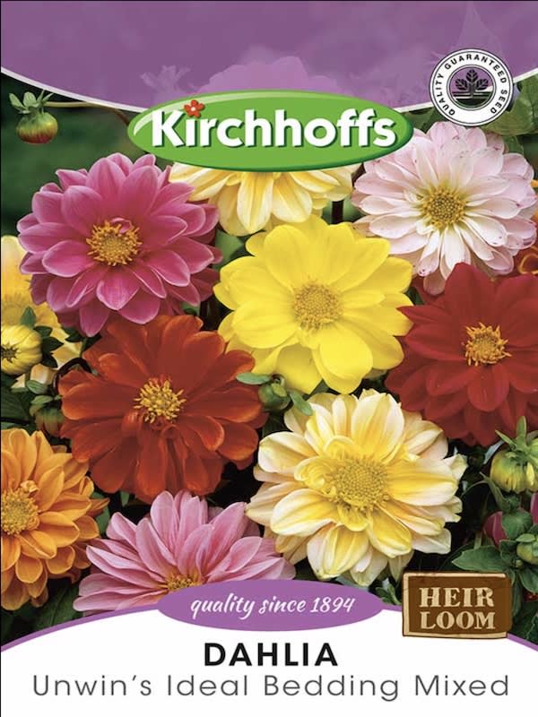 Dahlia Alta Colores Variados1