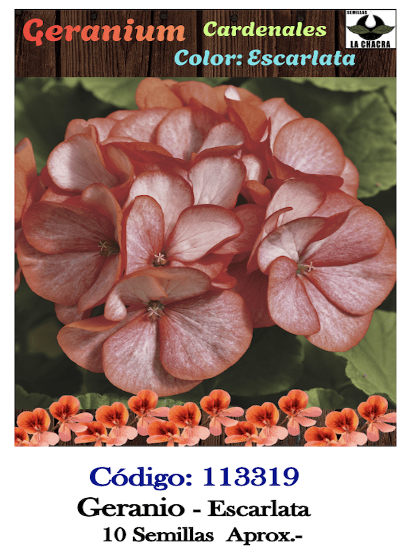 GERANIO. Color: Escarlata1