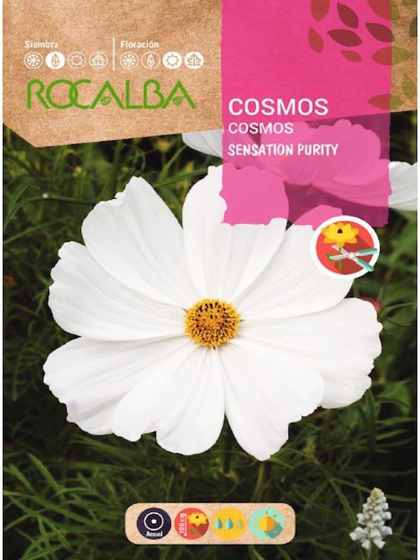 COSMOS  Blanco1