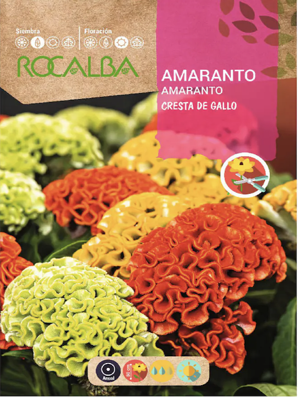 Amaranto Cresta de Gallo. Variado 2 G.1