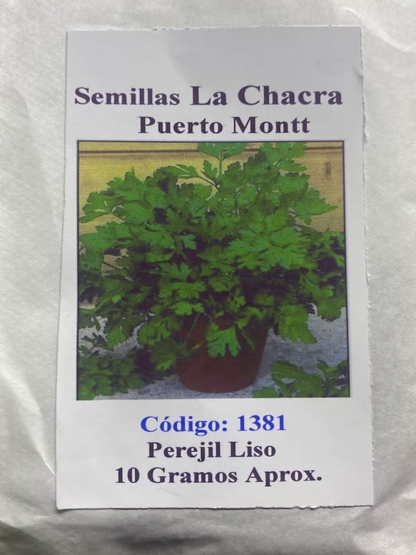 Perejil Liso de Italia.  10 Gramos1