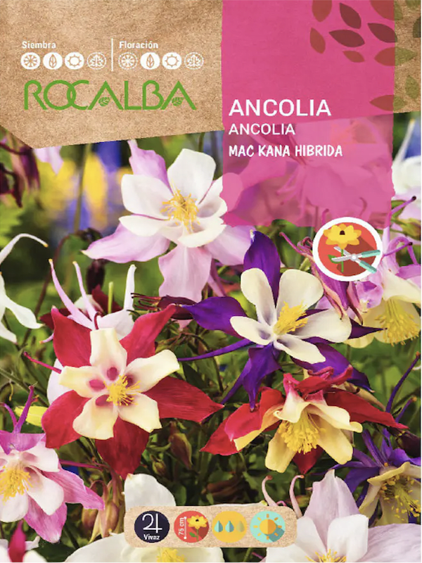 Ancolia Aquilegia Mackana's Híbrida Variada.1