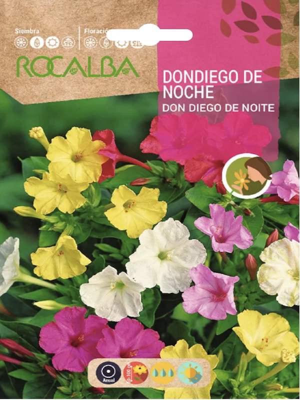 Don Diego De Noche Colores Variados.1