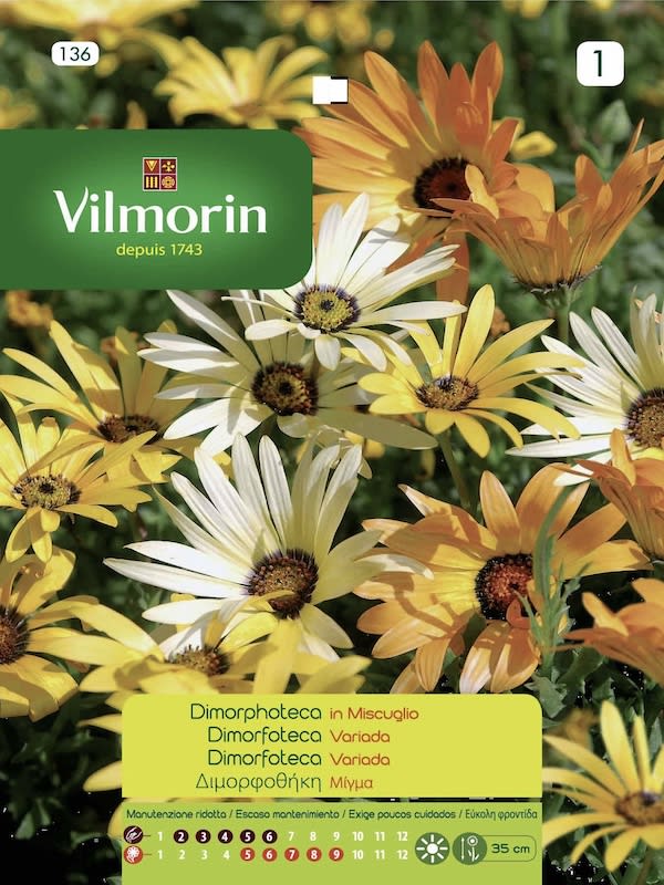 DIMORFOTECA MIXTA Vilmorin (9136g)1
