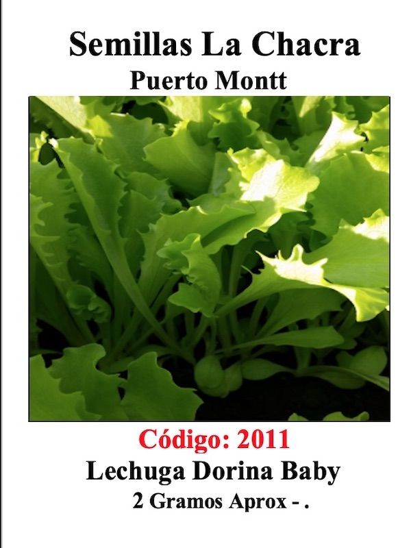 LECHUGA DORINA BABY LEAF1