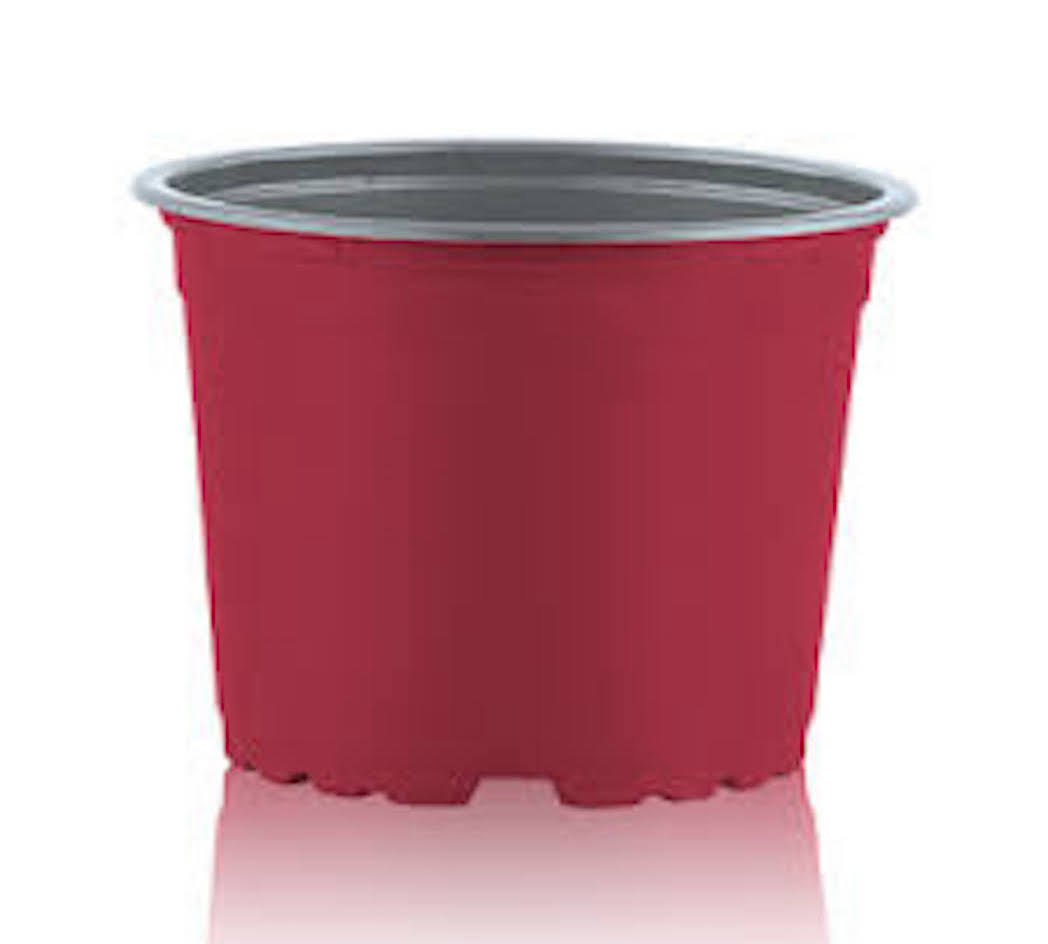 Maceteros Pequeños Termoformado Color: Rojo VCG-131