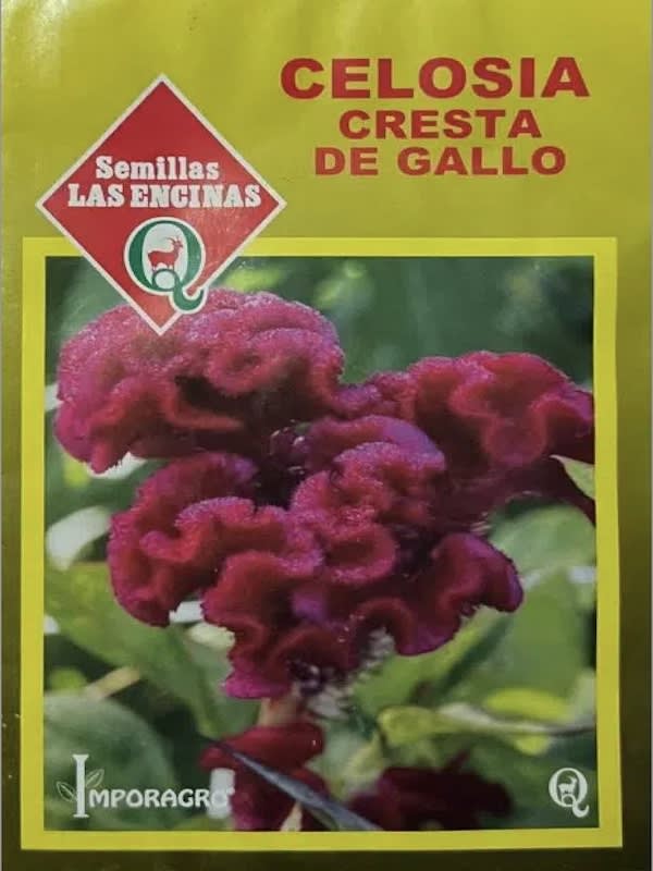 CELOSIA CRESTA DE GALLO 0,5 Gramos1
