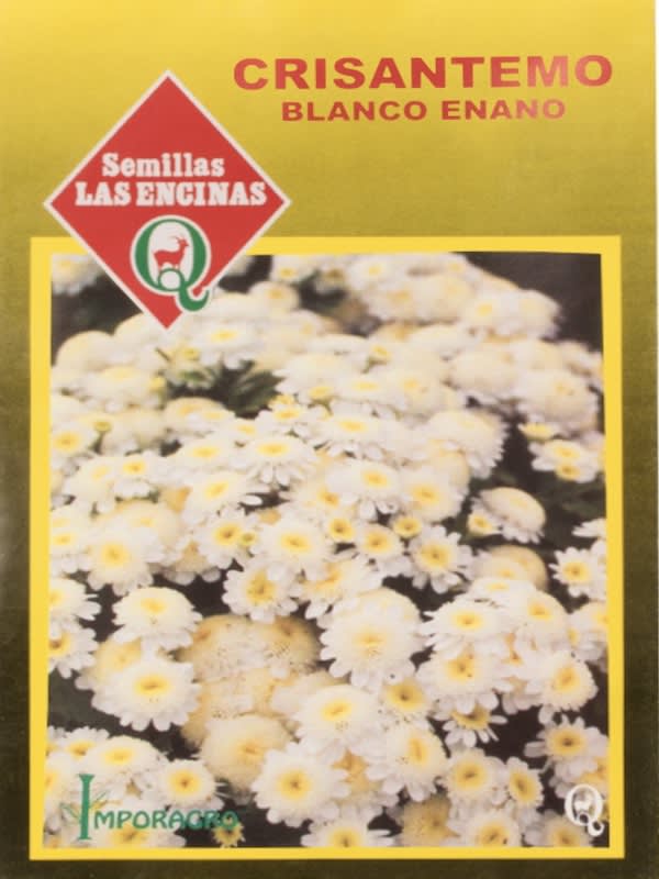 CRISANTEMOS Blanco Enano1