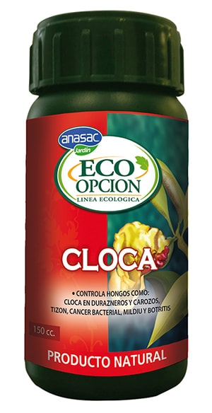 CLOCA ECO OPCIÓN 150 CC1