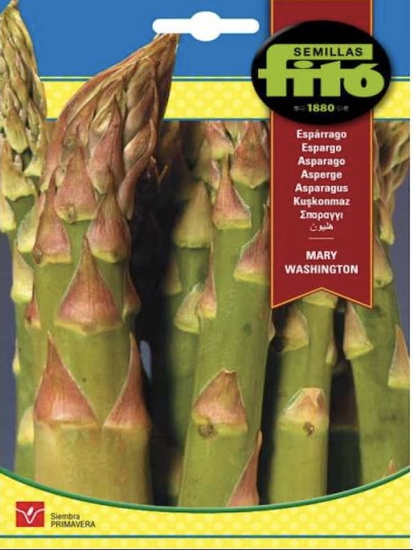 ESPARRAGO MARY WASHINGTON1