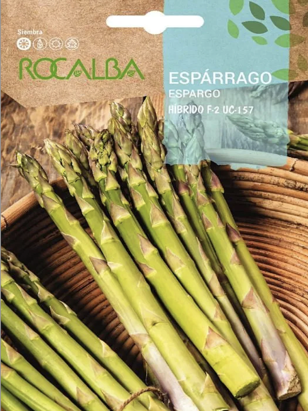 ESPARRAGO Híbrido F-21