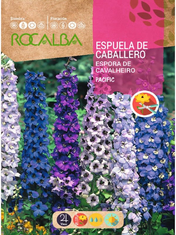 ESPUELA DE CABALLERO PACIFIC  VARIADO1