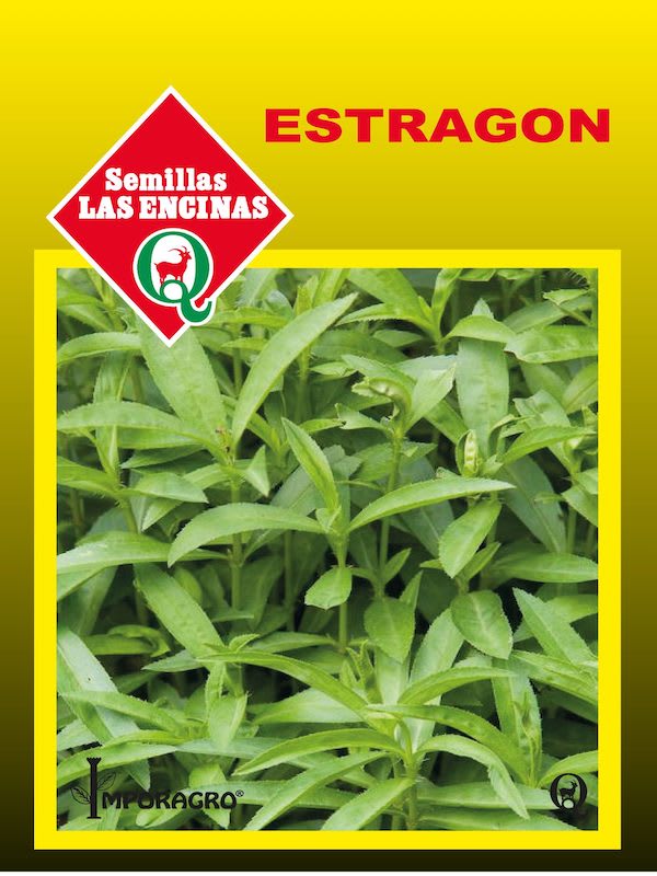 Estragón De Rusia1