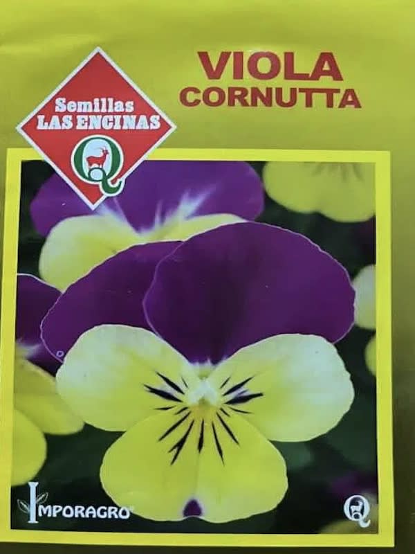 Viola Cornutta  Colores Variados1