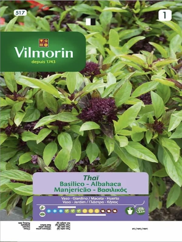 Albahaca Tailandesa1