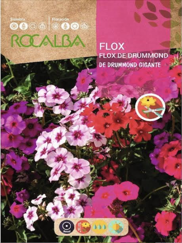 FLOX DRUMMOND. Gigante Variado1