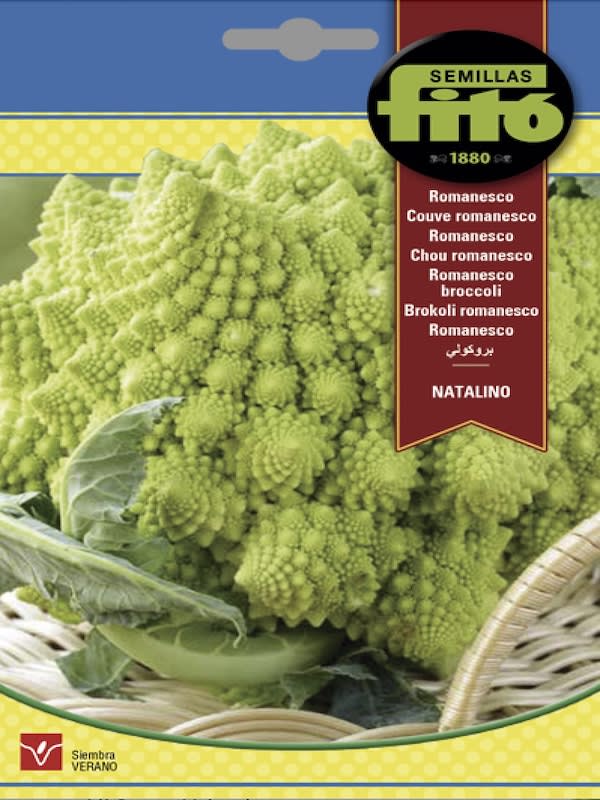 BROCOLI ROMANESCO  4 GRAMOS1
