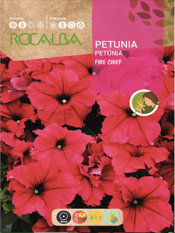 PETUNIA Fire Chief  Roja1