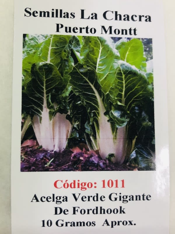 Acelga Gigante de Fordhook. 10 Gramos1