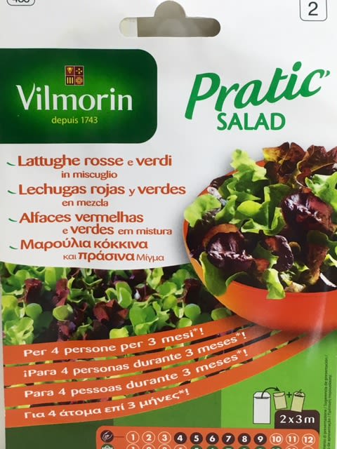 MEZCLA DE LECHUGAS ROJAS1