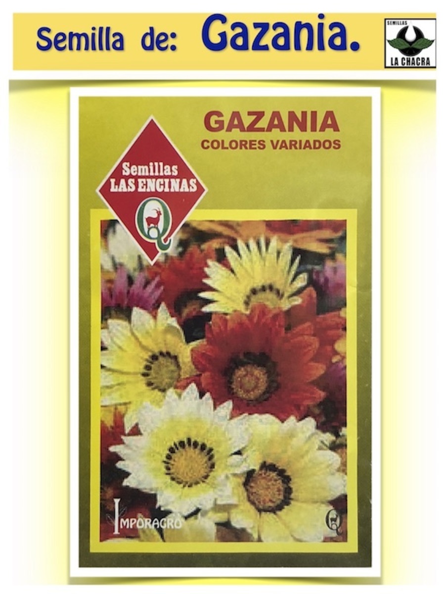 Gazania Sunshine Doble Variada1